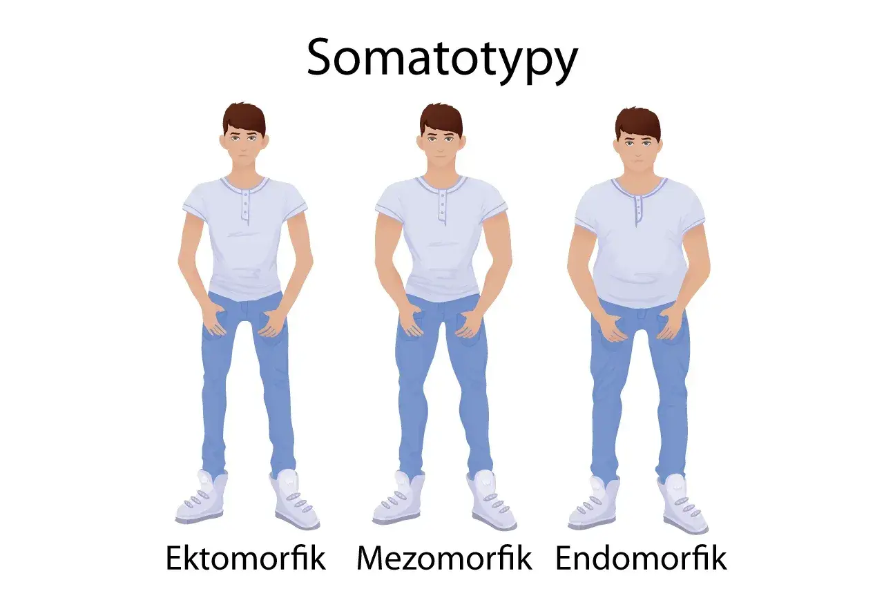 Trzech mężczyzn: ektomorfik (szczupły), mezomorfik (umięśniony) i endomorfik (zaokrąglony), ilustrujących somatotypy.