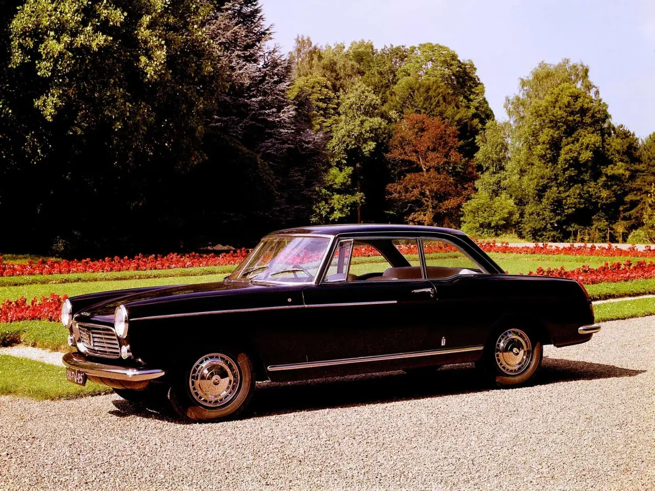 Elegancki, czarny Peugeot 404 coupe z lat 60. stoi na żwirowej alejce, otoczony zielenią i czerwonymi kwiatami.