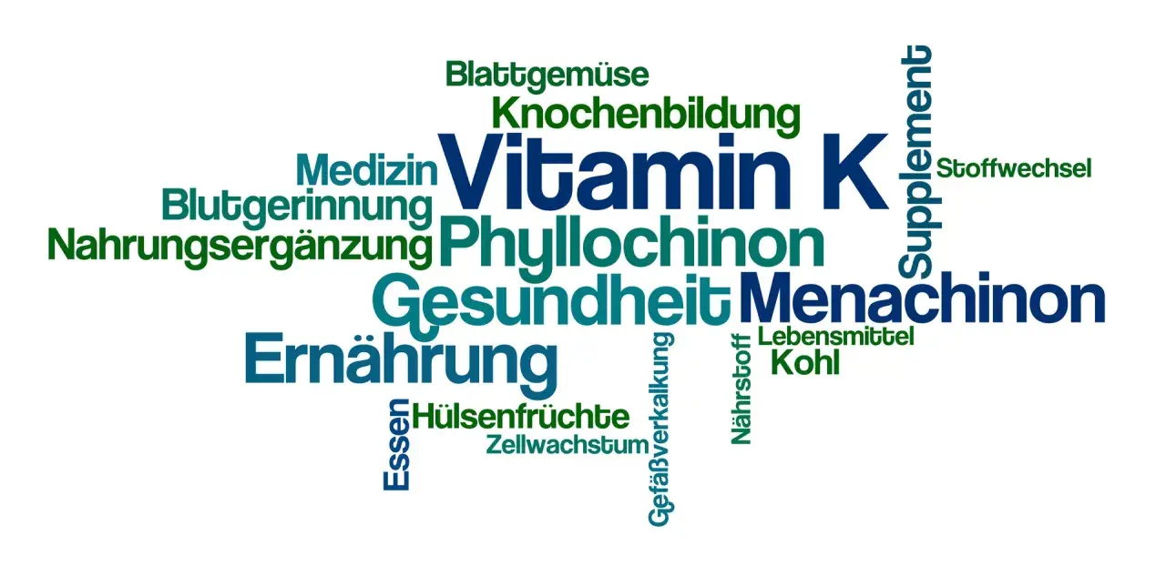 Wortwolke mit Begriffen wie "Vitamin K", "Blutgerinnung", "Knochenbildung", "Ernährung", "Gesundheit", "Phyllochinon" und "Menachinon".