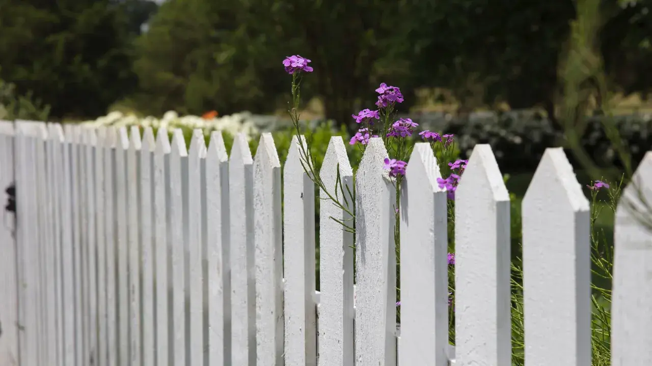 Weiße Palisade mit zarten lila Blüten, die sich durchschlängeln. Tolle zaun ideen für einen romantischen Garten.