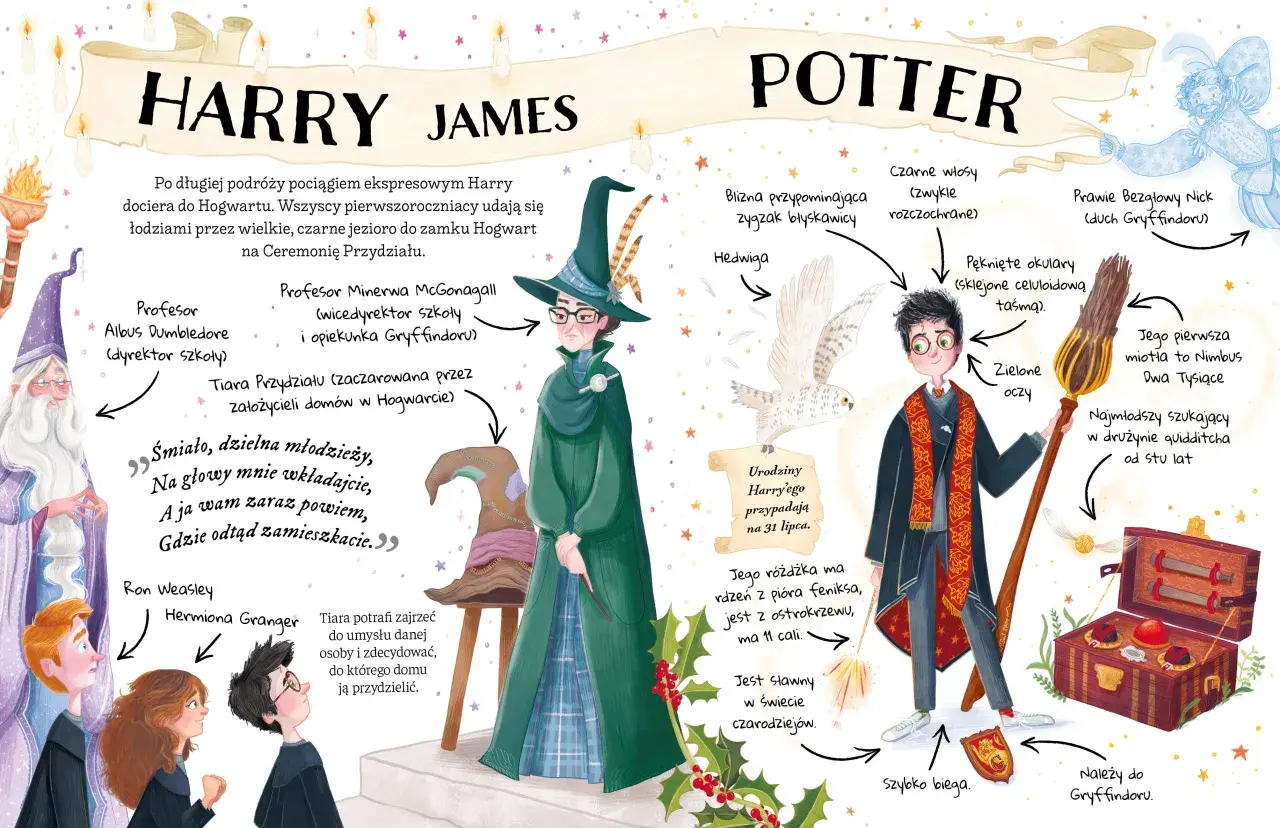 Ilustracja z książek o Harrym Potterze: Harry, Hedwiga, Dumbledore, McGonagall, Ron, Hermiona i Tiara Przydziału.