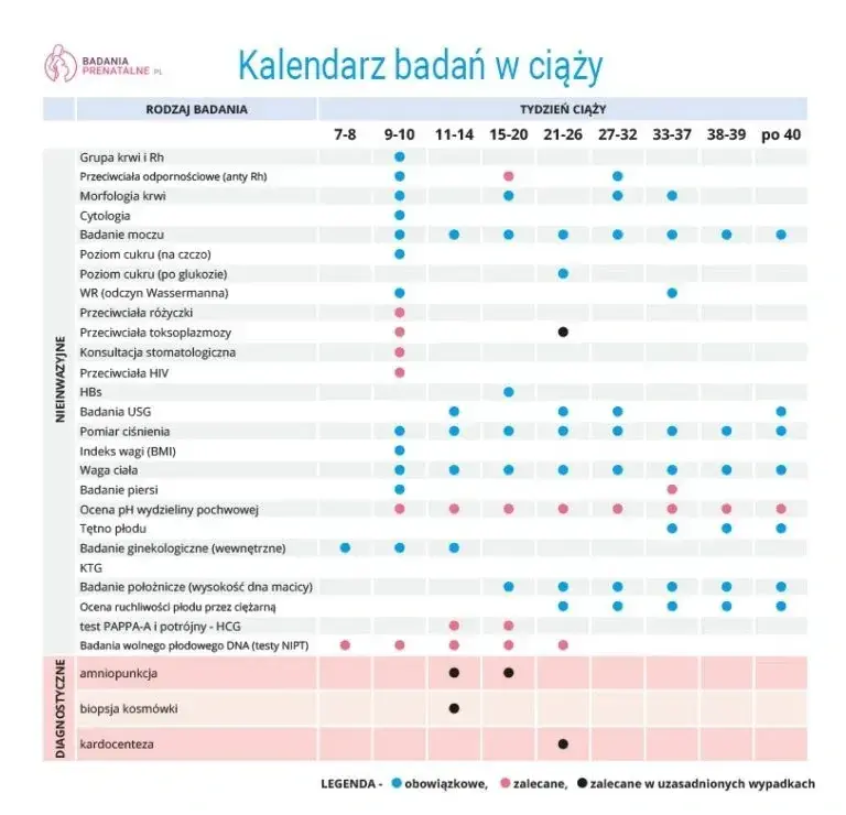 Kiedy pierwsze badania prenatalne? Terminy, NFZ i co dalej?
