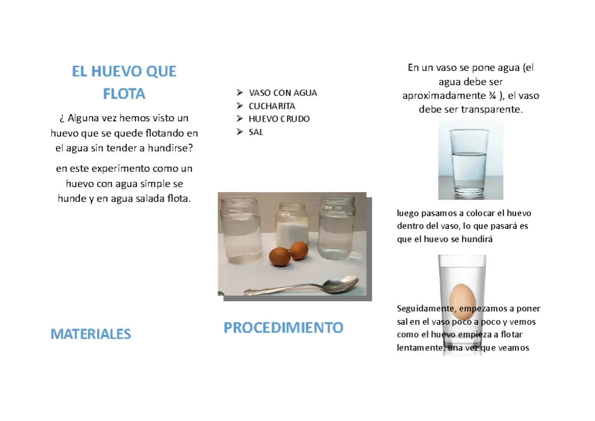 Un huevo flota en agua salada en un experimento.