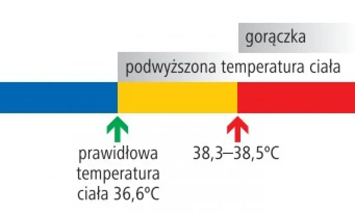Gorączka u dzieci: kiedy konieczna jest wizyta u lekarza?