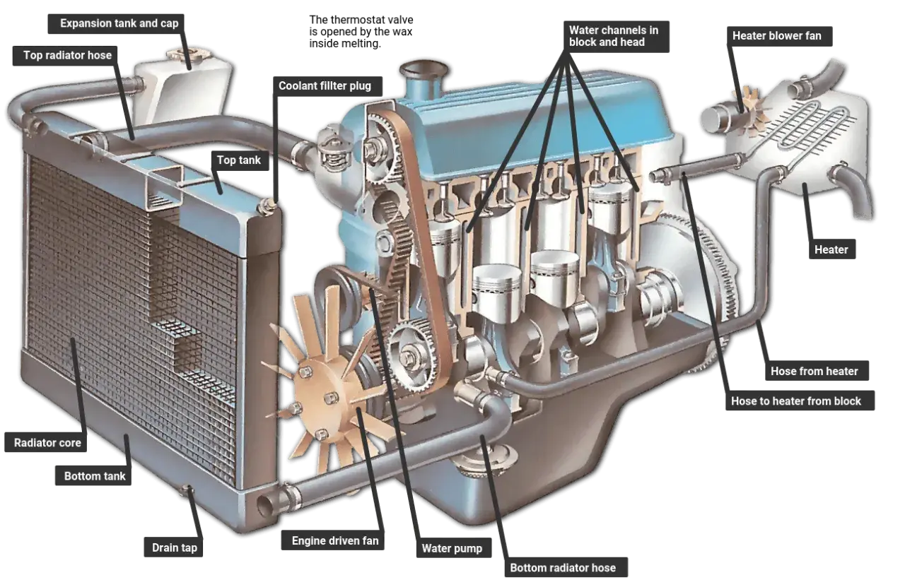 Detaljerad illustration av hur en dieselmotor fungerar, med fokus på kylsystemet: radiator, vattenpumpar och kanaler.