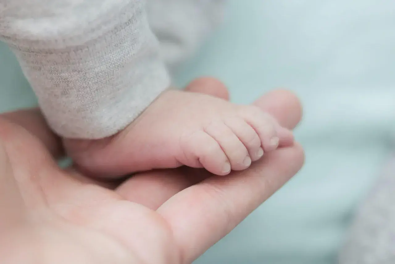 Piede di neonato maschio su mano adulta. Un piccolo tesoro da confrontare con la tabella percentili neonato maschio.