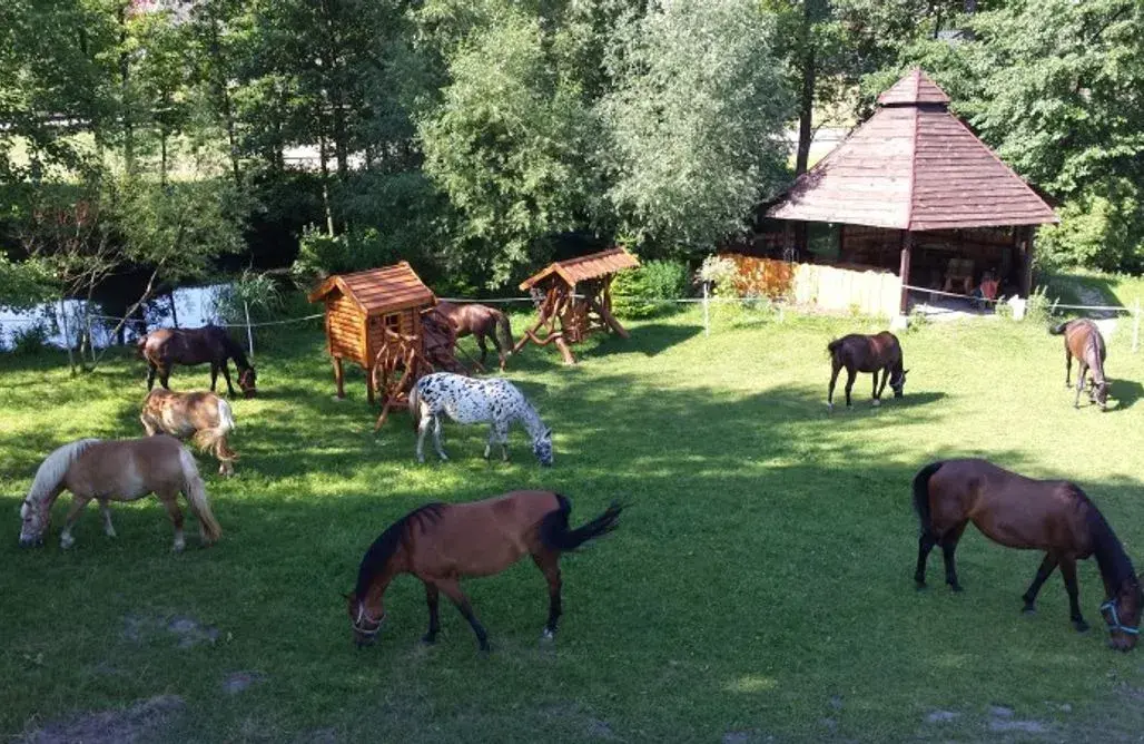 Co to jest agroturystyka? Poznaj jej zalety i unikalne doświadczenia