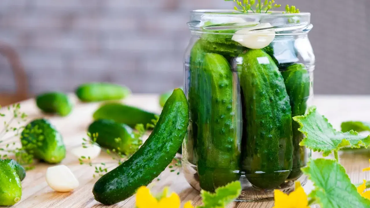 Frische Gurken, Dill und Knoblauch für das Gurken einlegen nach Omas Rezept.