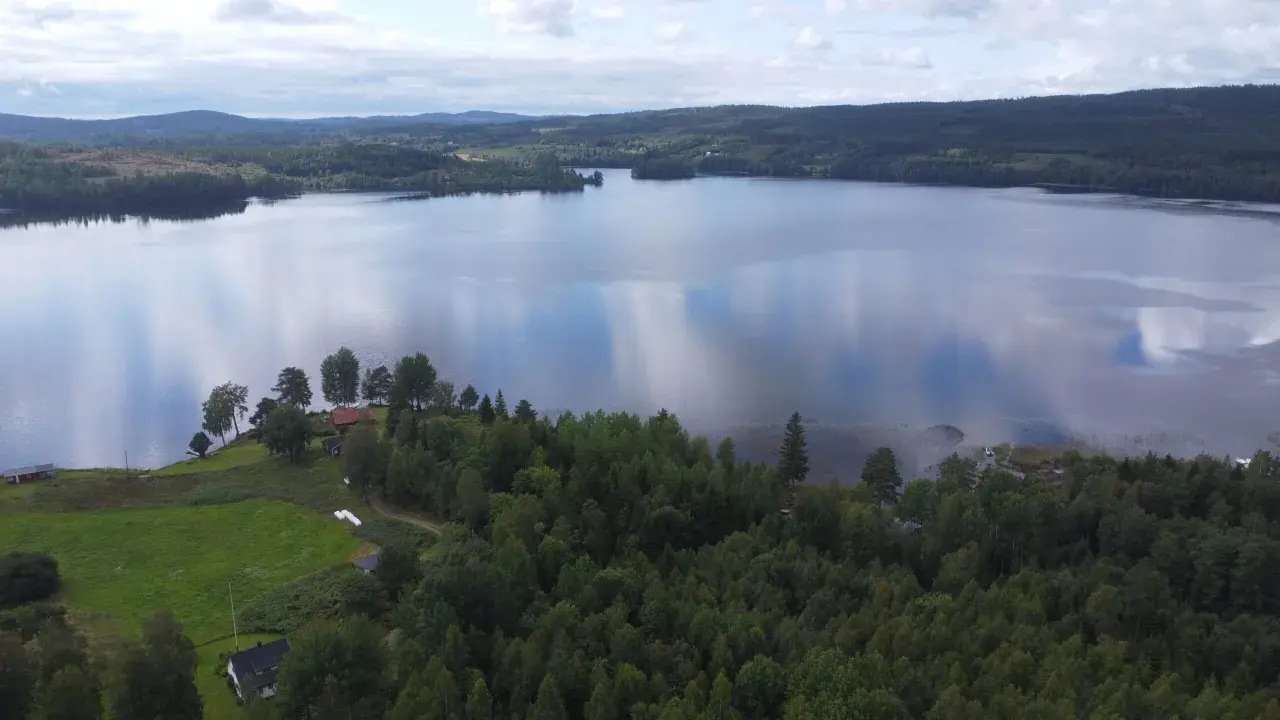 Spokojny finlandia krajobraz z jeziorem odbijającym chmury, otoczony lasami i zielonymi polami z kilkoma domkami.