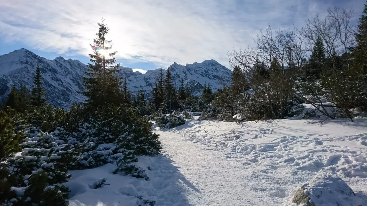Schneebedeckte Berge im Winter, ein verschneiter Pfad führt durch Nadelbäume und Büsche. Die Sonne scheint durch die Wolken.