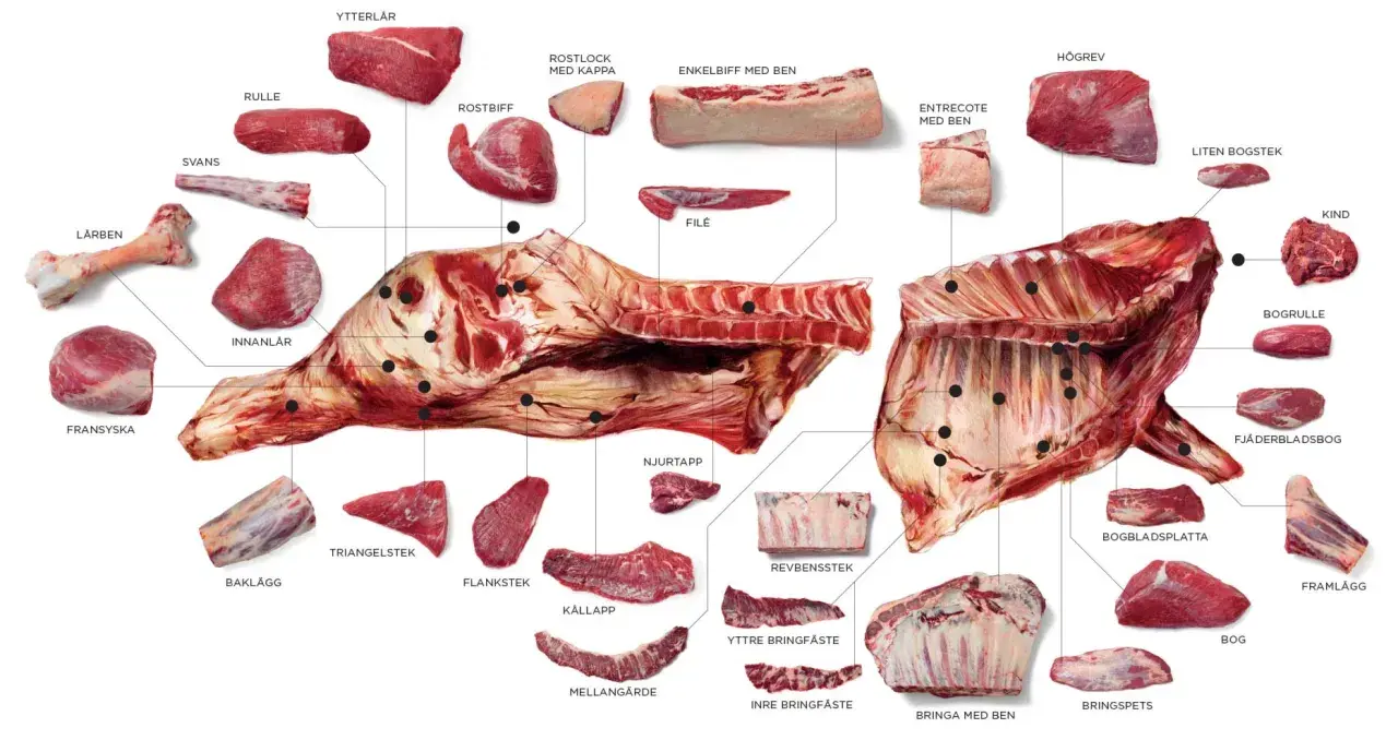 Detaljerad illustration av styckdetaljer från nötkreatur, inklusive flat iron steak (entrecote med ben).
