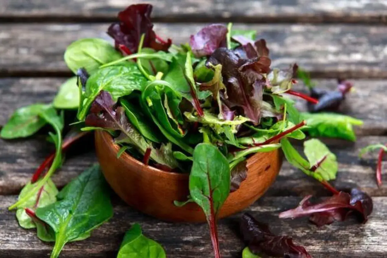 Frischer Salat mit roten und grünen Blättern in einer Holzschale, bereit zum Mangold zubereiten.