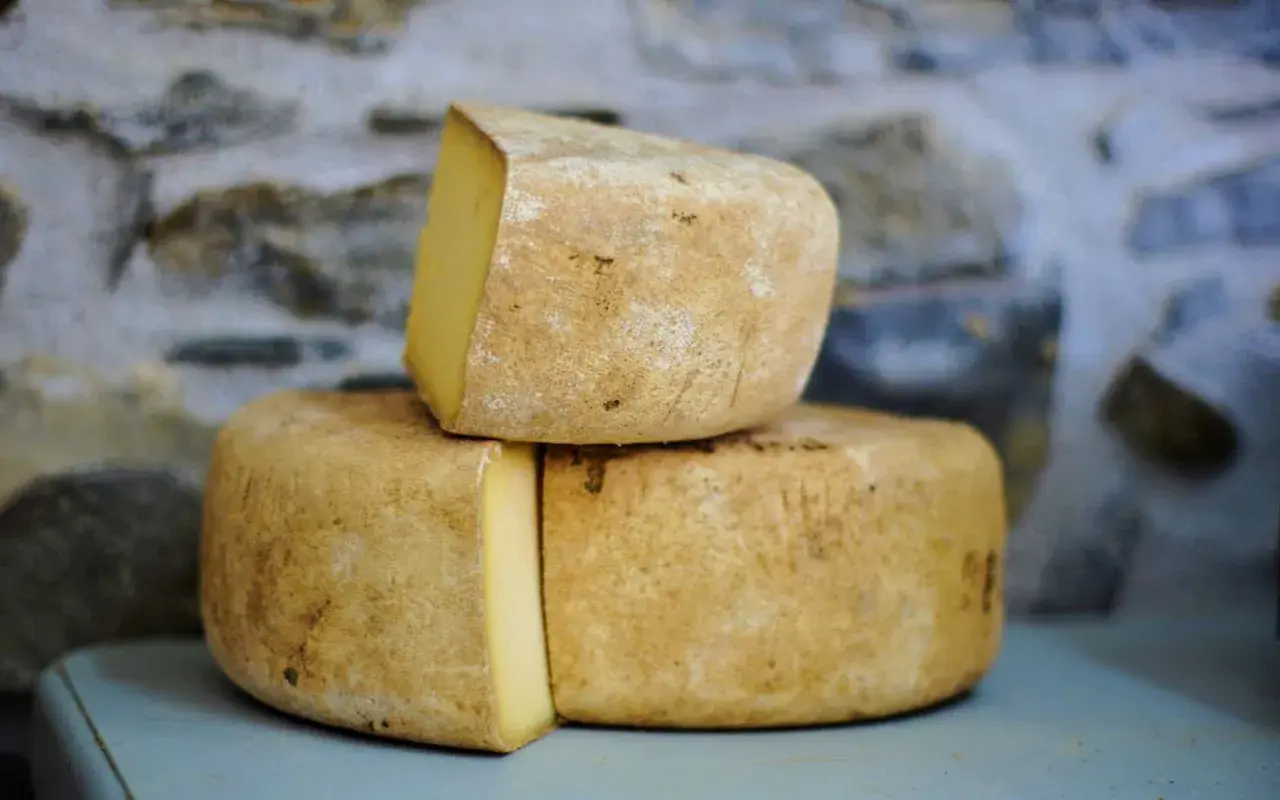 Formaggio di fossa stagionato, con crosta rustica e pasta gialla, impilato su uno sfondo di pietra grezza.