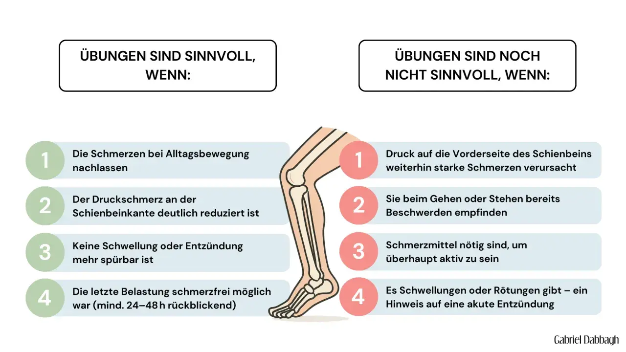 Grafik erklärt, wann Übungen bei Schienbein Schmerzen sinnvoll sind (Schmerzrückgang) und wann nicht (Druckschmerz, Entzündung).
