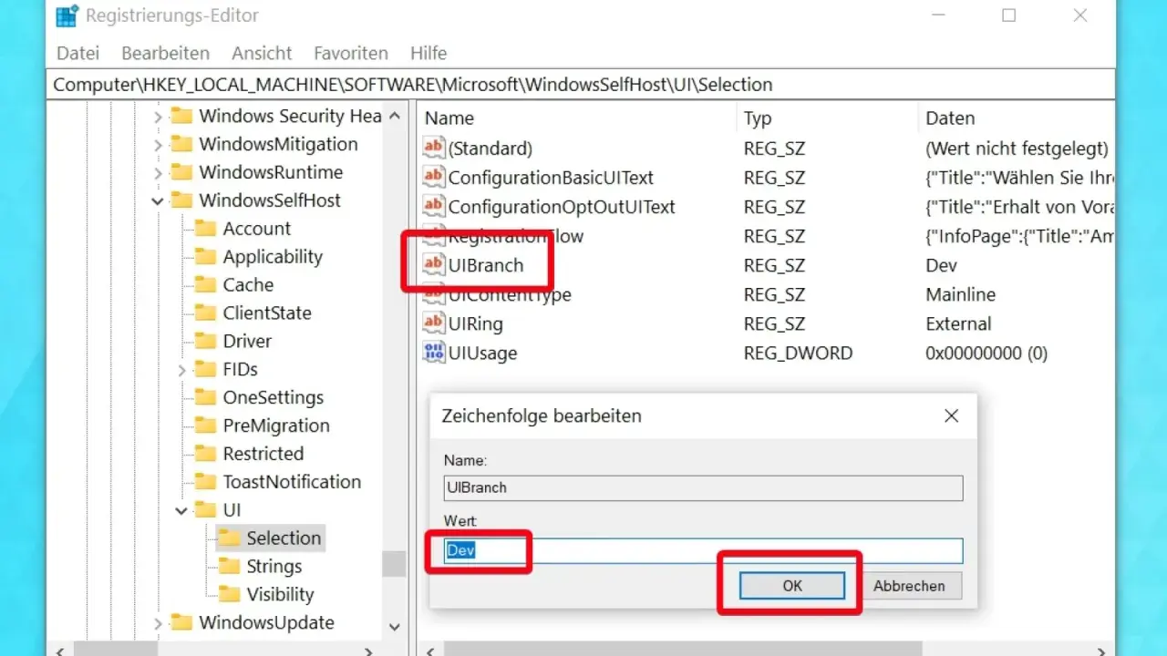 Bearbeiten des Windows 11 Registry-Eintrags "UIBranch" auf "Dev" im Registrierungs-Editor.