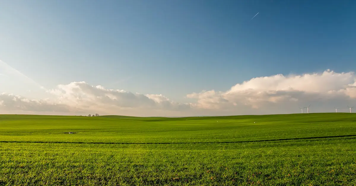  Ile kosztuje założenie księgi wieczystej? Zobacz aktualne ceny w 2023 roku