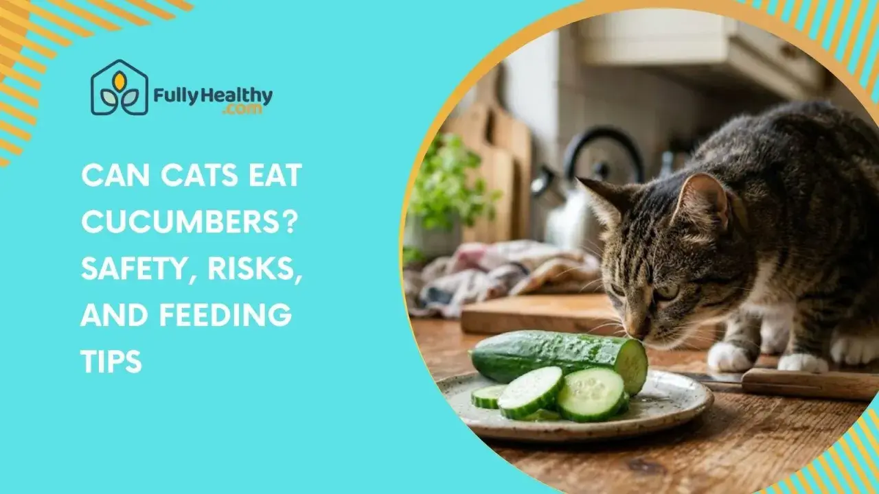 A tabby cat sniffs sliced cucumbers on a plate, questioning if cats can eat cucumbers. Safety, risks, and feeding tips are discussed.