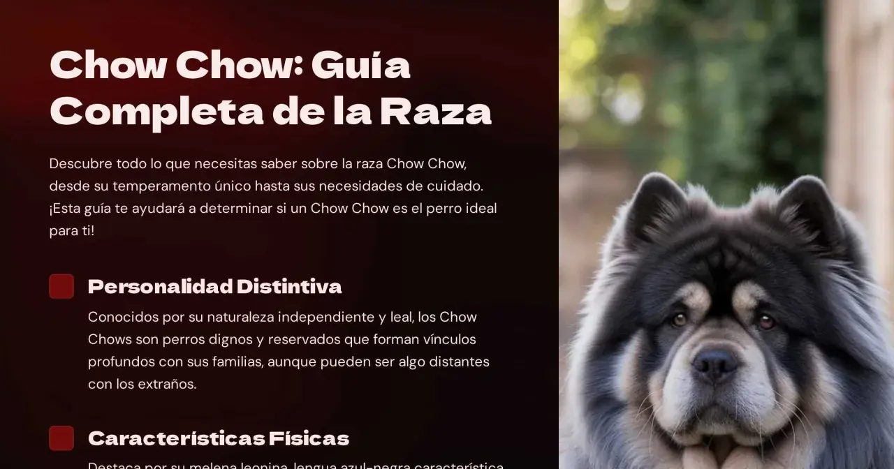 Un majestuoso perro Chow Chow, con su denso pelaje gris y expresión serena, aparece en primer plano.