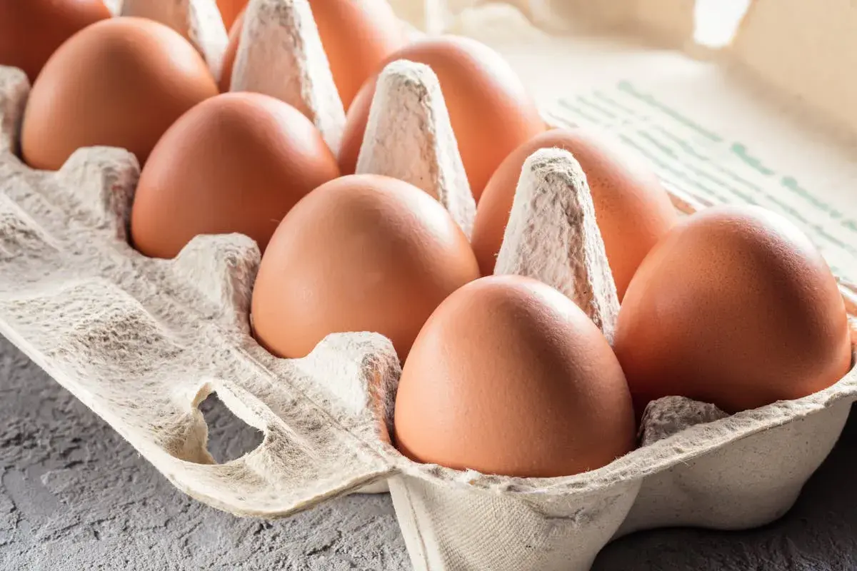 Des œufs bruns dans une boîte en carton. On hésite à manger un œuf après la date, par prudence.