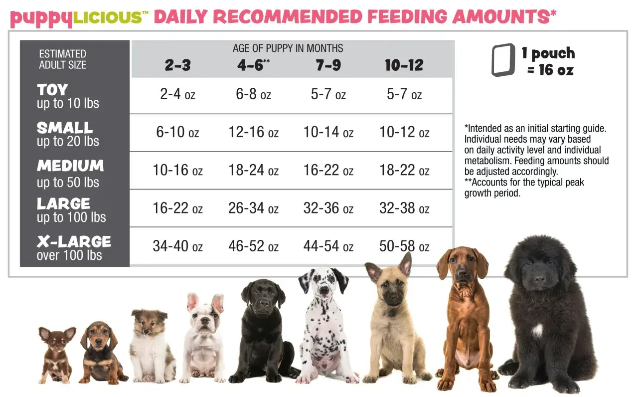 Chart showing how much food should I feed my dog based on size and age. Includes photos of puppies.