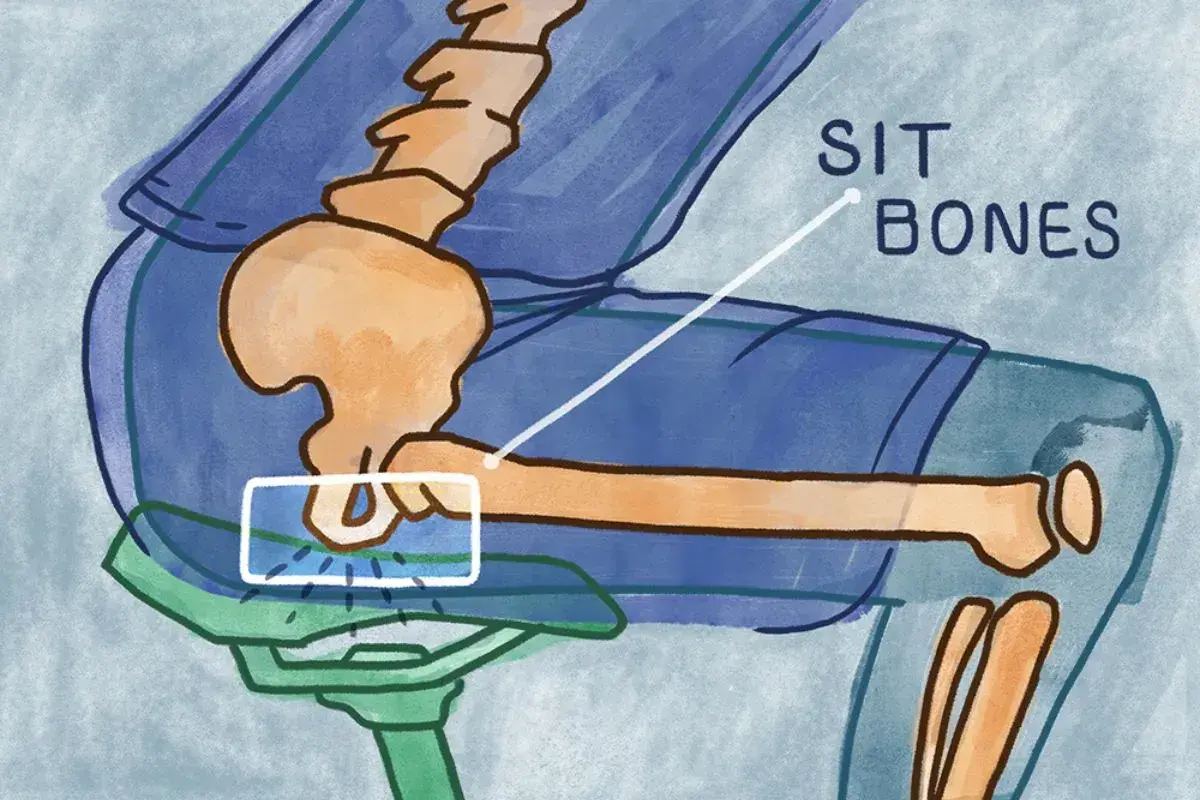 Illustrazione anatomica che evidenzia le ossa ischiatiche, punti di contatto sul sellino di una bicicletta.