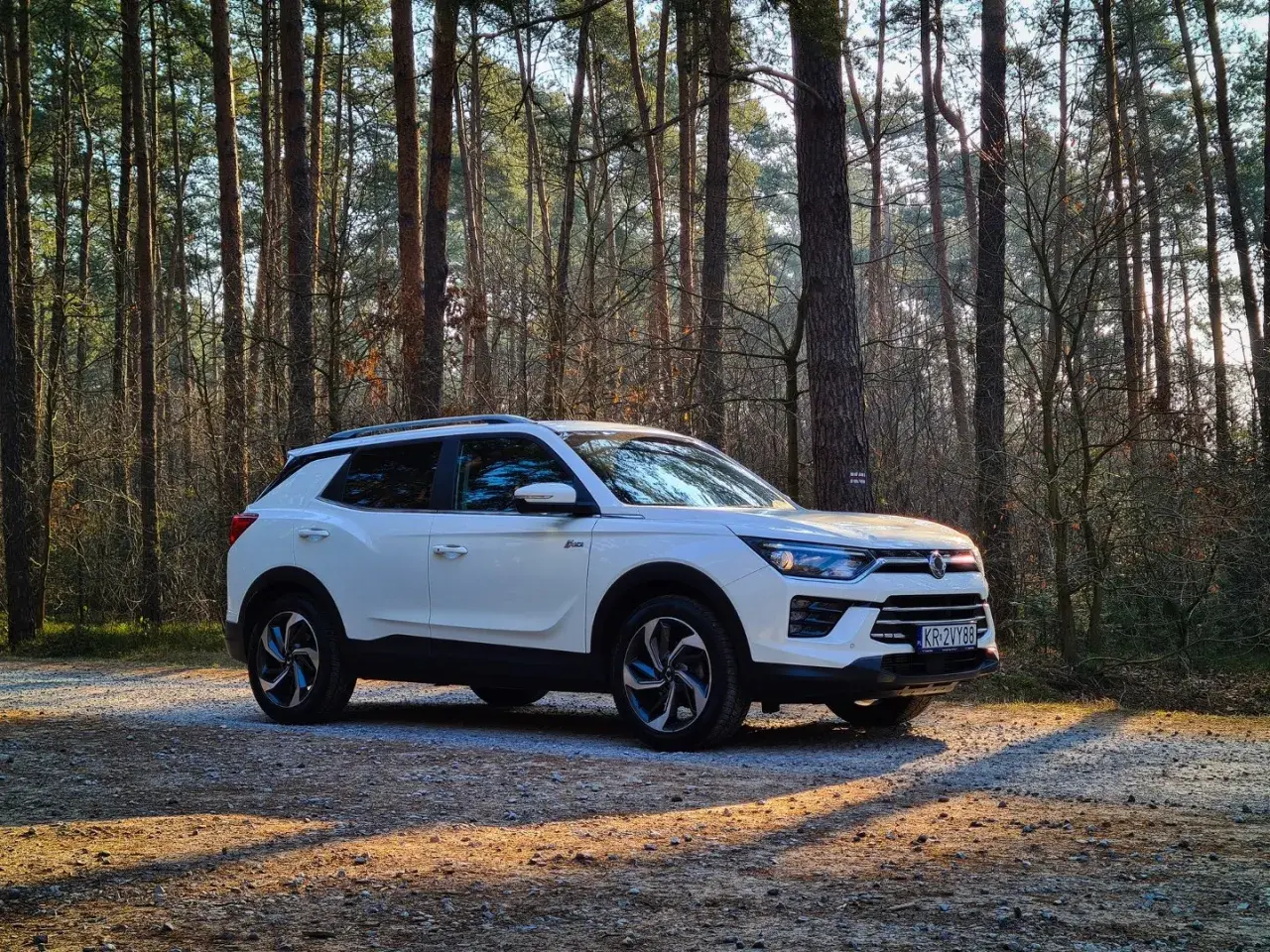 Biały SsangYong Korando zaparkowany na leśnej drodze, otoczony przez wysokie sosny. Światło przebija się przez drzewa, tworząc ciekawe cienie na ziemi.