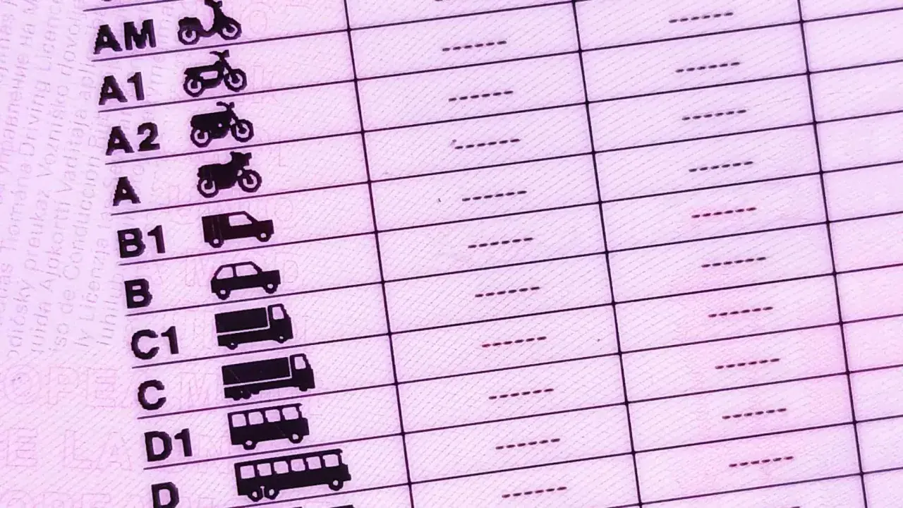 Detalle de un carnet de conducir con categorías de vehículos. Averigua cuanto cuesta renovar el carnet de conducir para cada tipo.