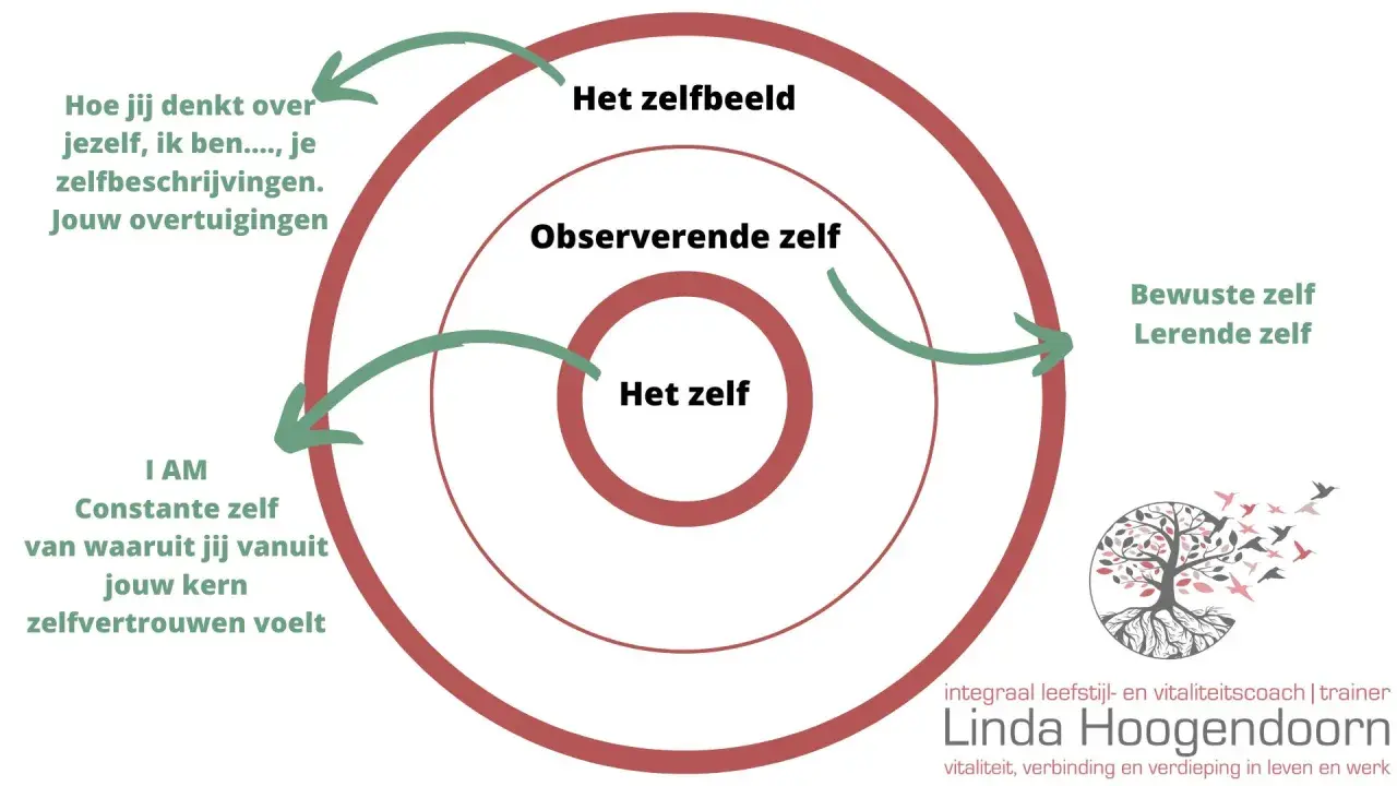 Diagram toont hoe je zelfbeeld, overtuigingen en zelfvertrouwen je jachtige leven betekenis geven.