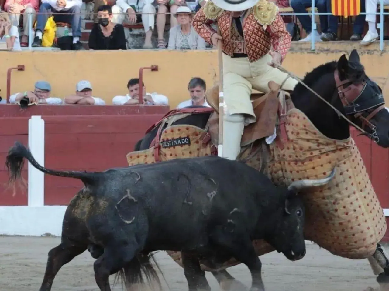 Un picador a caballo se enfrenta a un toro negro de la ganadería Raso de Portillo. El toro tiene marcas en el lomo.