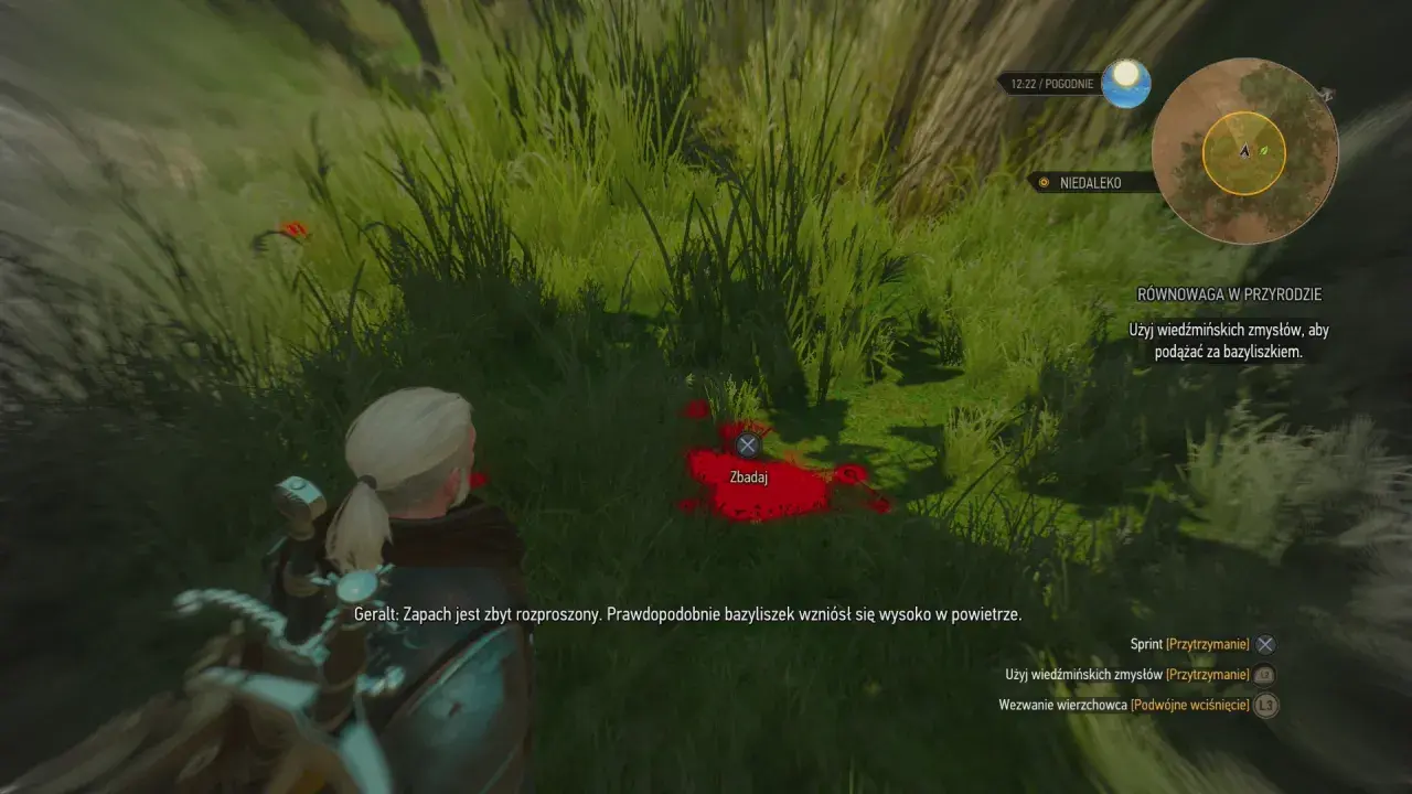 Geralt bada ślady bazyliszka, szukając go w trawie. Wiedźmińskie zmysły pomogą odnaleźć stworzenie, przywracając równowaga w przyrodzie.