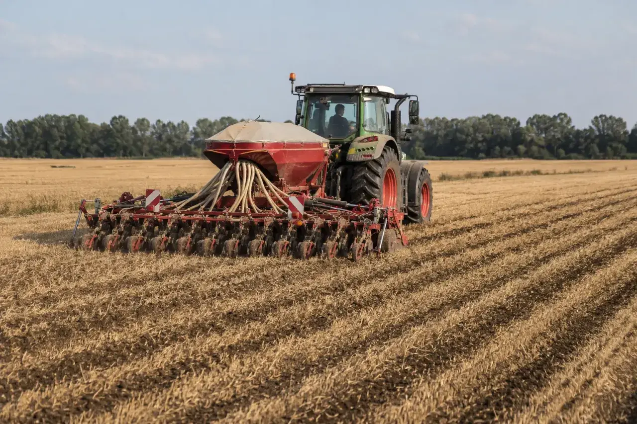 Traktor z siewnikiem pracuje na polu, siejąc rzepak. Maszyna rozsiewa nasiona, przygotowując pole do przyszłych zbiorów.