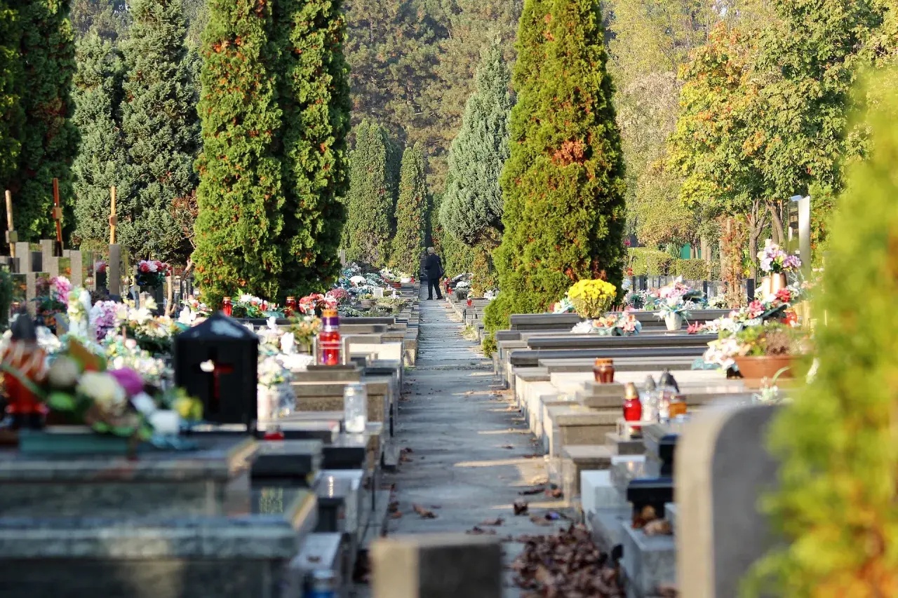 Jak dojechać na cmentarz osobowicki we Wrocławiu - uniknij problemów z dojazdem