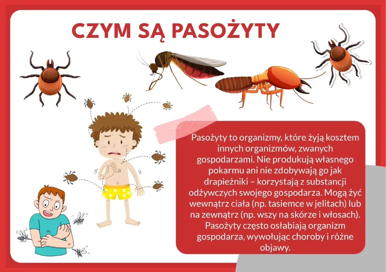 Ilustracja pokazuje kleszcze, komary i inne **gzy owad**, które atakują przerażonego chłopca.