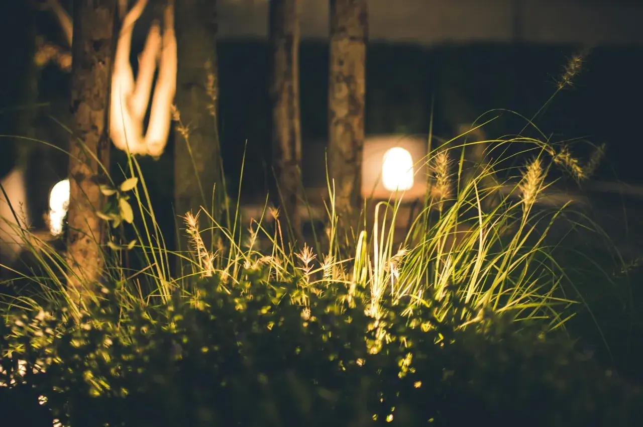 Nocne oświetlenie ogrodu inspiracje: trawy i krzewy rozświetlone ciepłym blaskiem lamp, tworząc magiczną atmosferę.
