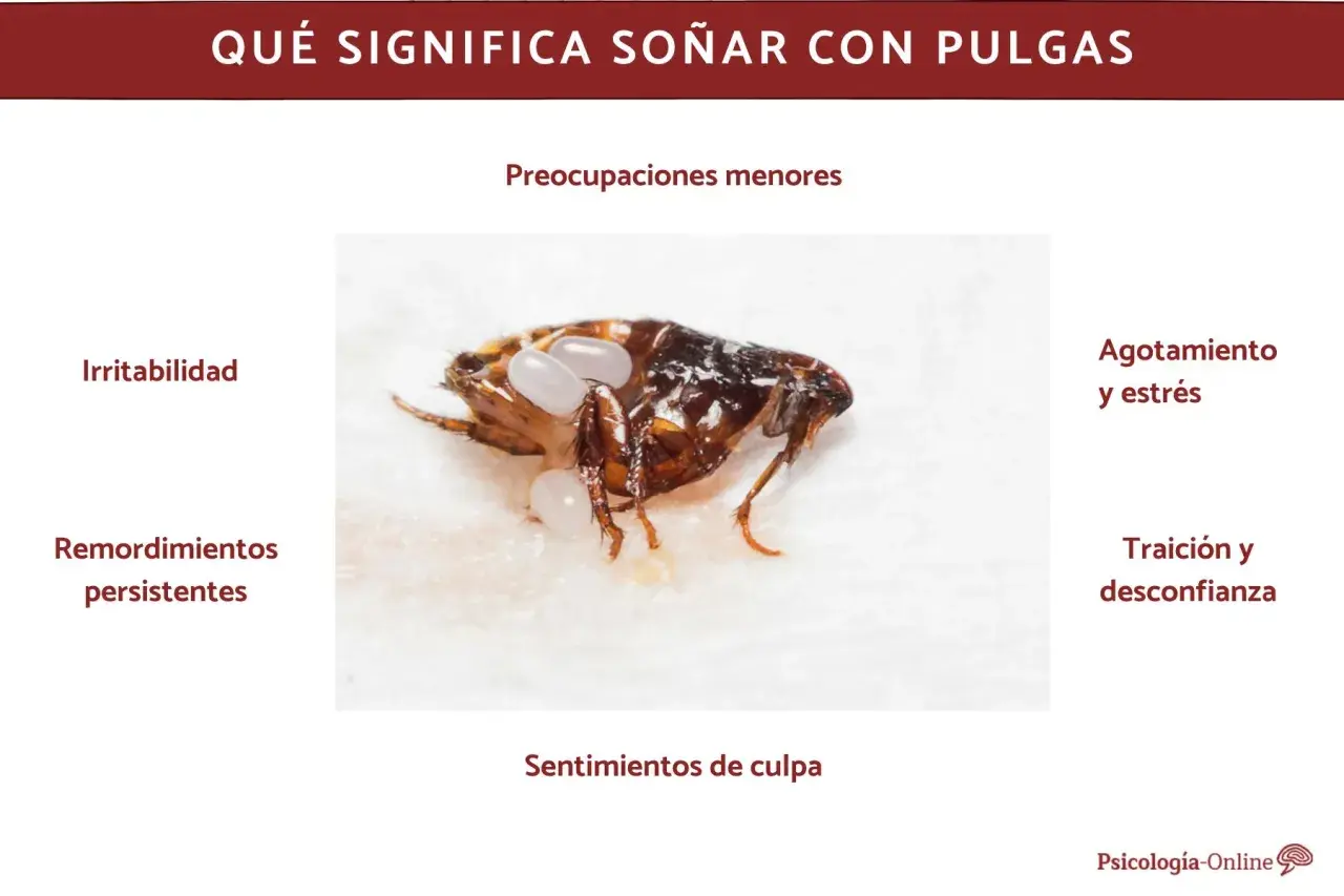 Una pulga con huevos, simbolizando preocupaciones menores, irritabilidad y agotamiento al soñar con pulgas.