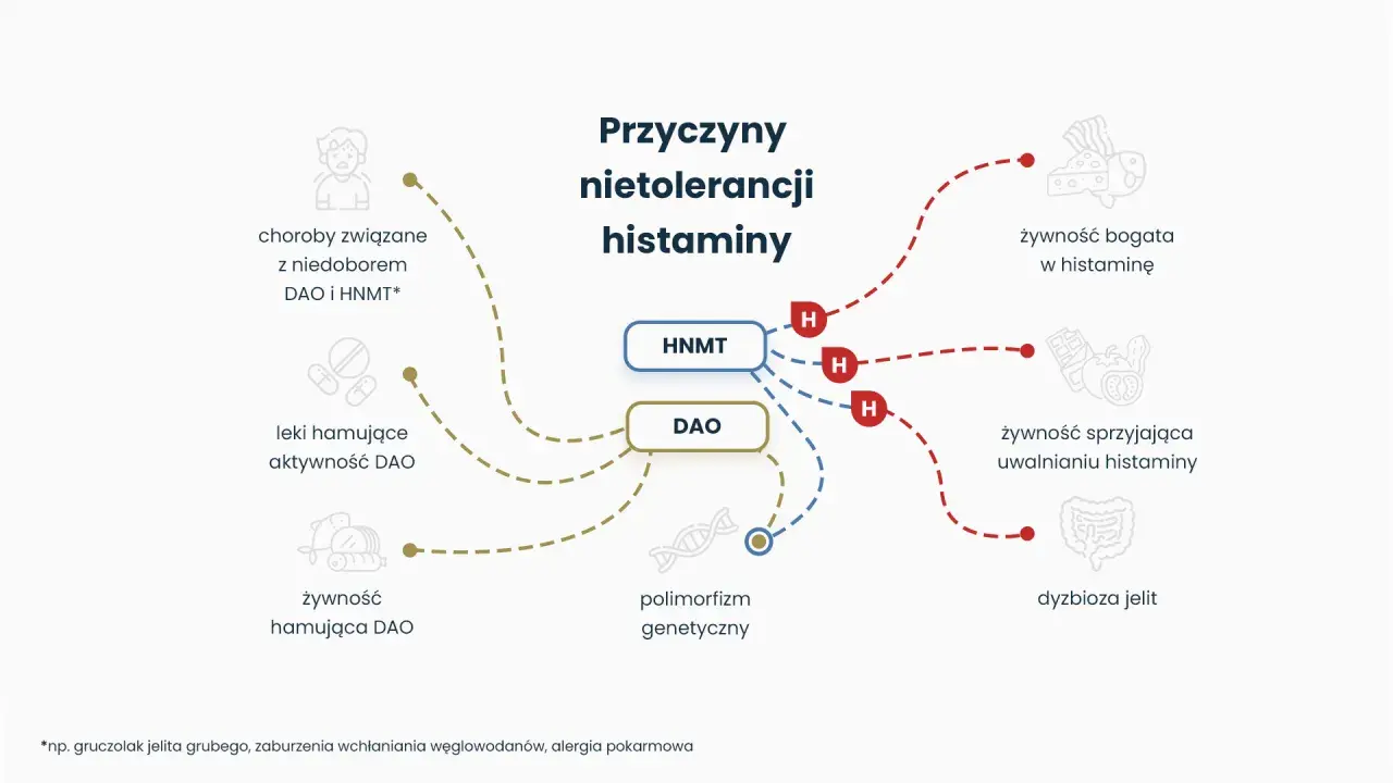 Schemat przyczyn nietolerancji histaminy, uwzględniający rolę DAO, polimorfizm genetyczny i czynniki żywieniowe.