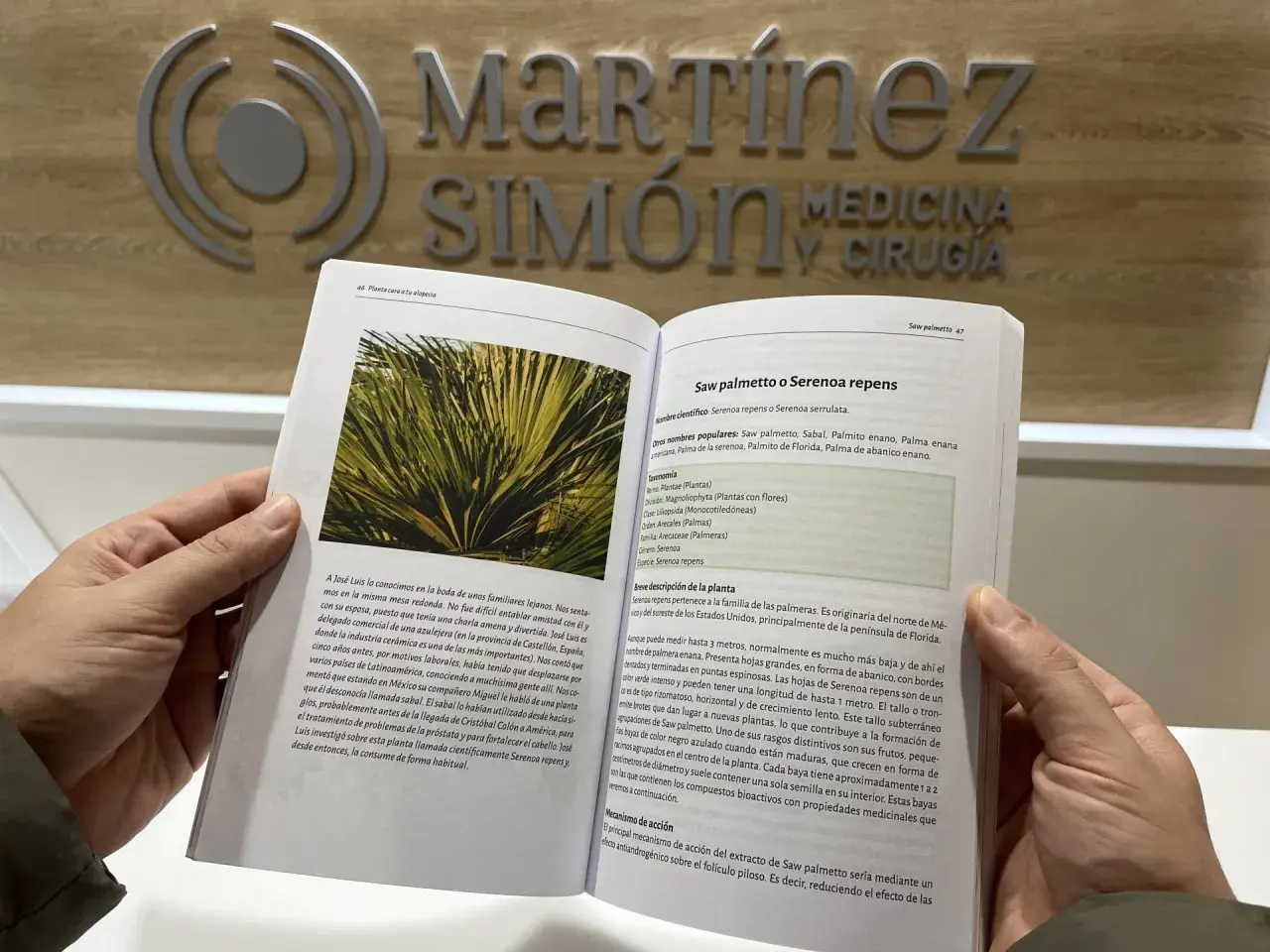 Saw palmetto para que sirve: esta planta, Serenoa repens, se usa para tratar problemas de próstata y cabello.