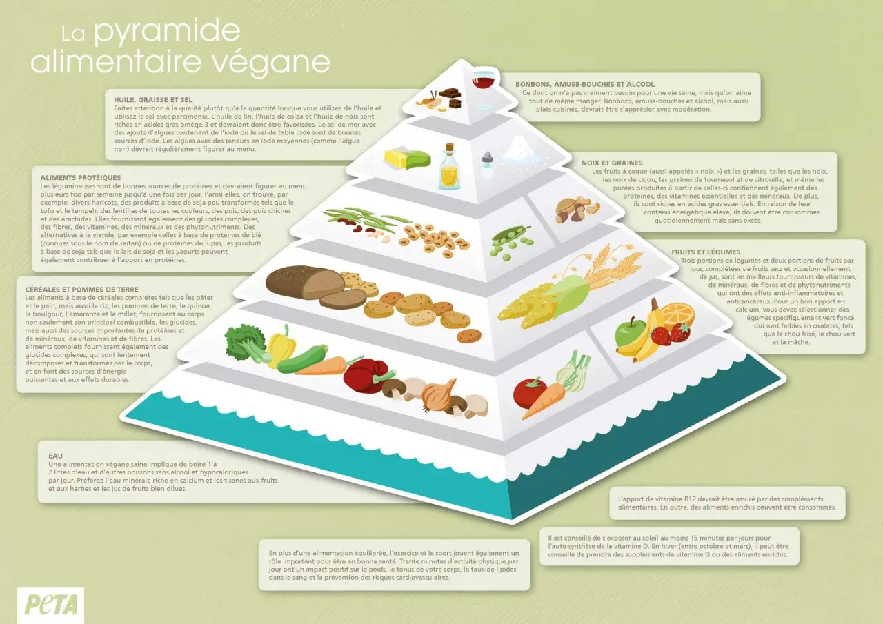 Pyramide alimentaire végétalienne : huiles, noix et graines sont une source de lipide essentielle.