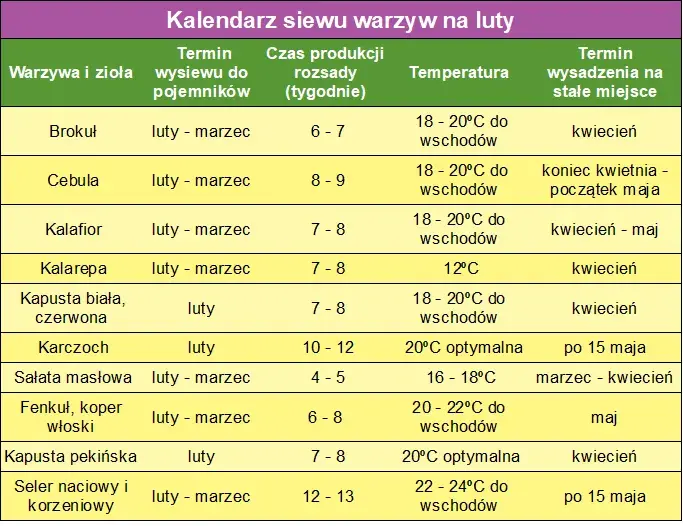 Kiedy siać warzywa do gruntu? Kalendarz siewu dla ogrodników