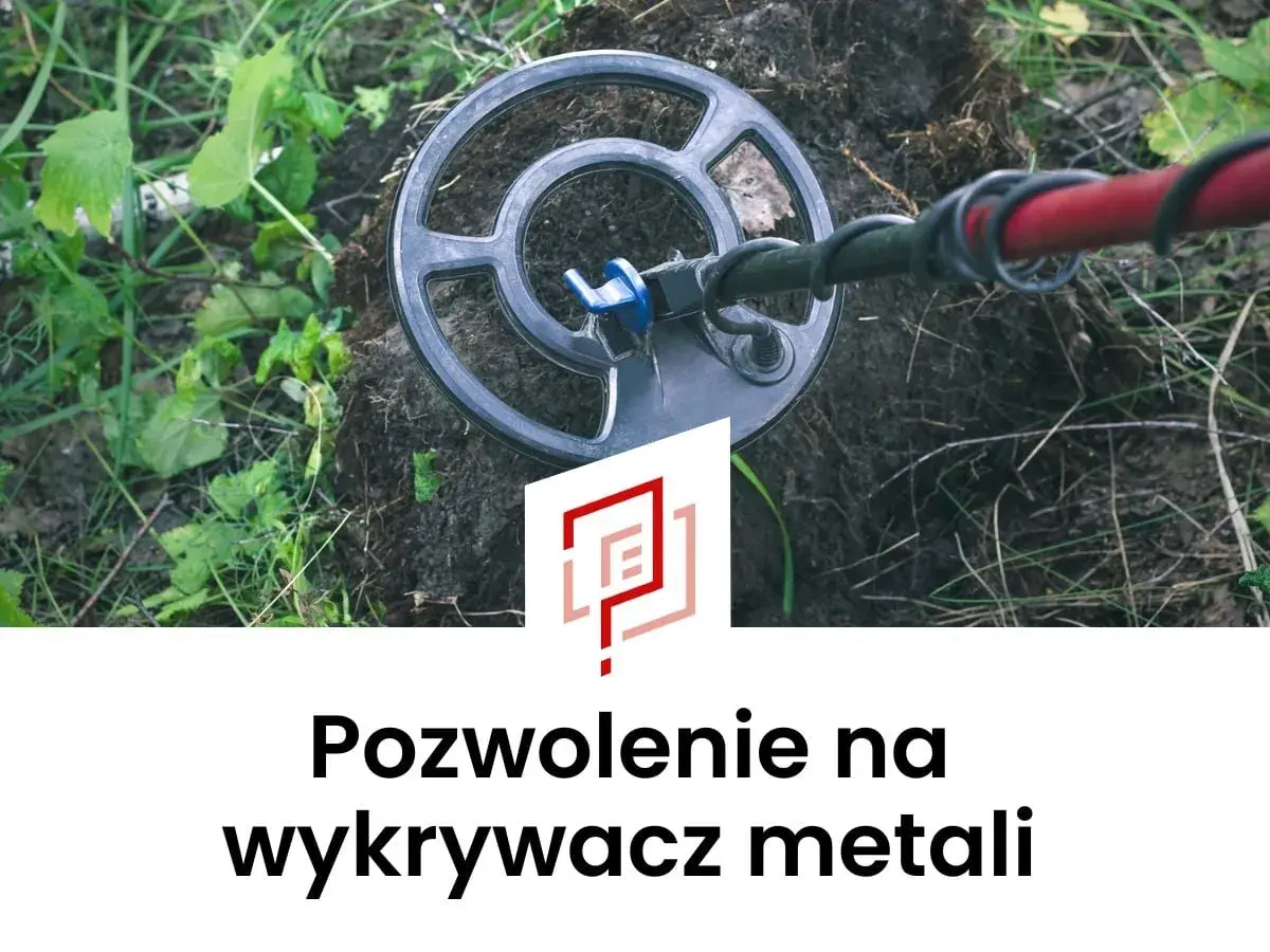 Cewka wykrywacza metali nad ziemią, gotowa do poszukiwań. Potrzebne pozwolenie na wykrywacz metali, by odkrywać skarby.