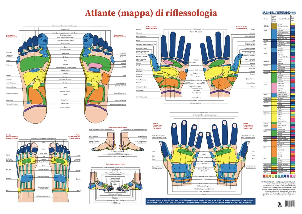 Mappa punti agopuntura mano e piedi, con zone riflesse e correlazioni corporee.
