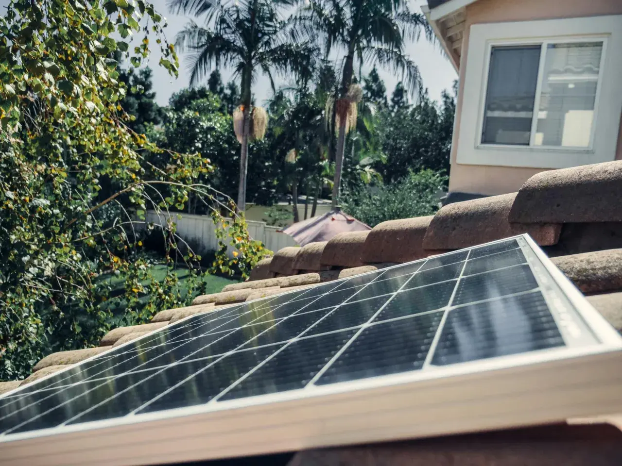Panel solarny na dachu, obok palm. Czy lampa solarna ładuje się od żarówki? Nie, potrzebuje słońca.