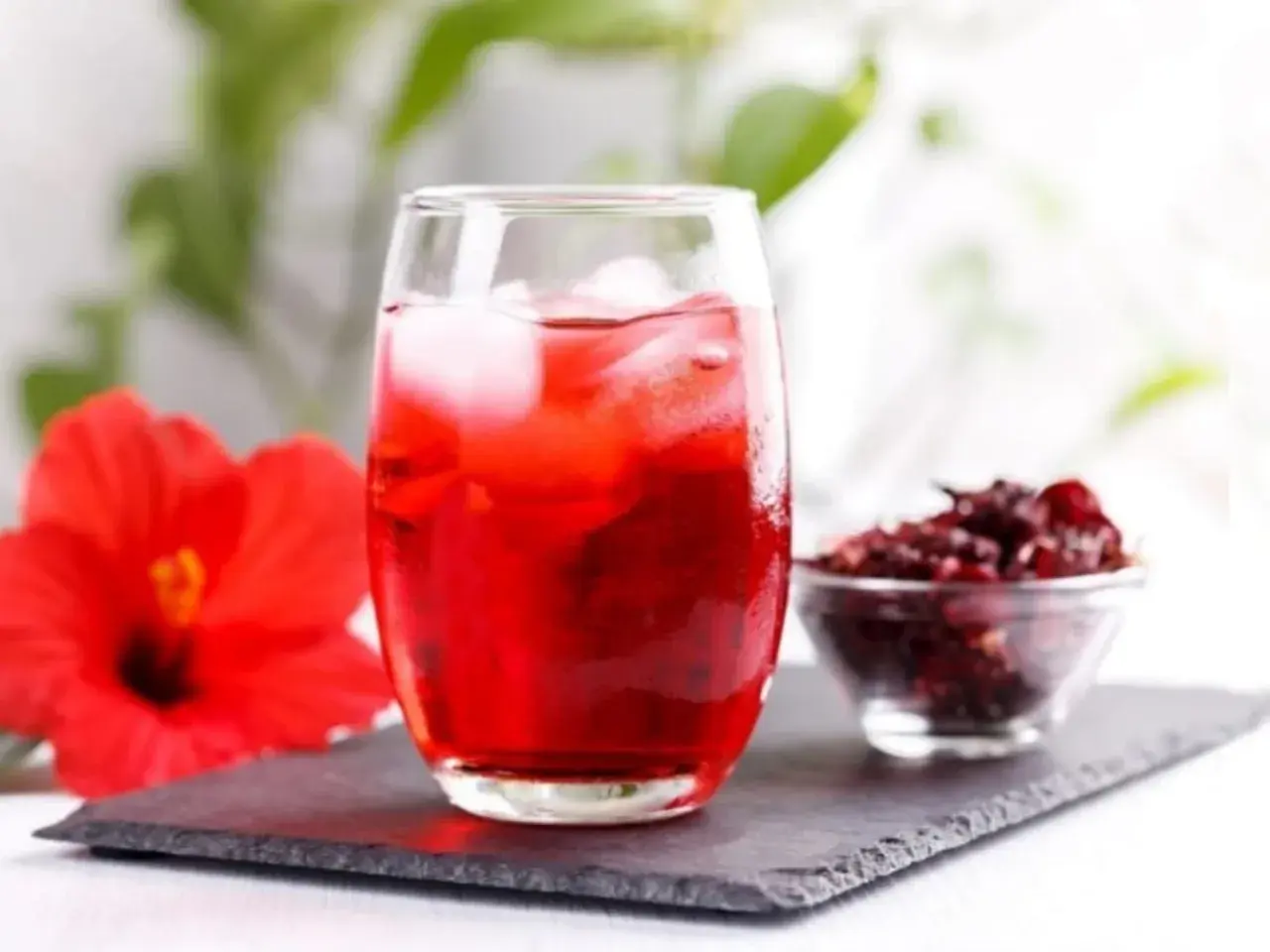 Vaso de agua de jamaica con hielo, flor de jamaica y flor seca. Descubre los agua de jamaica beneficios.