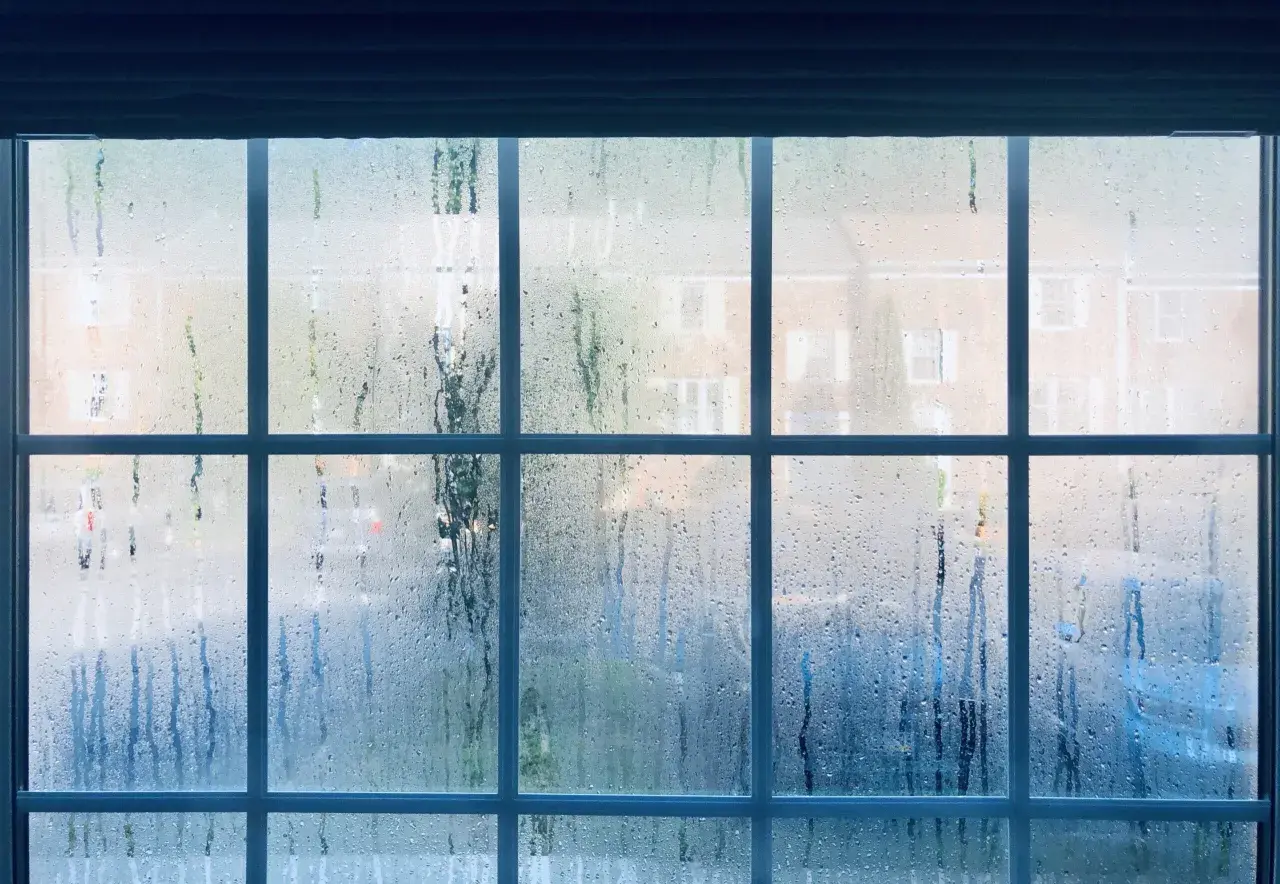 Mokre okna rano? Poznaj przyczyny i raz na zawsze rozwiąż problem!