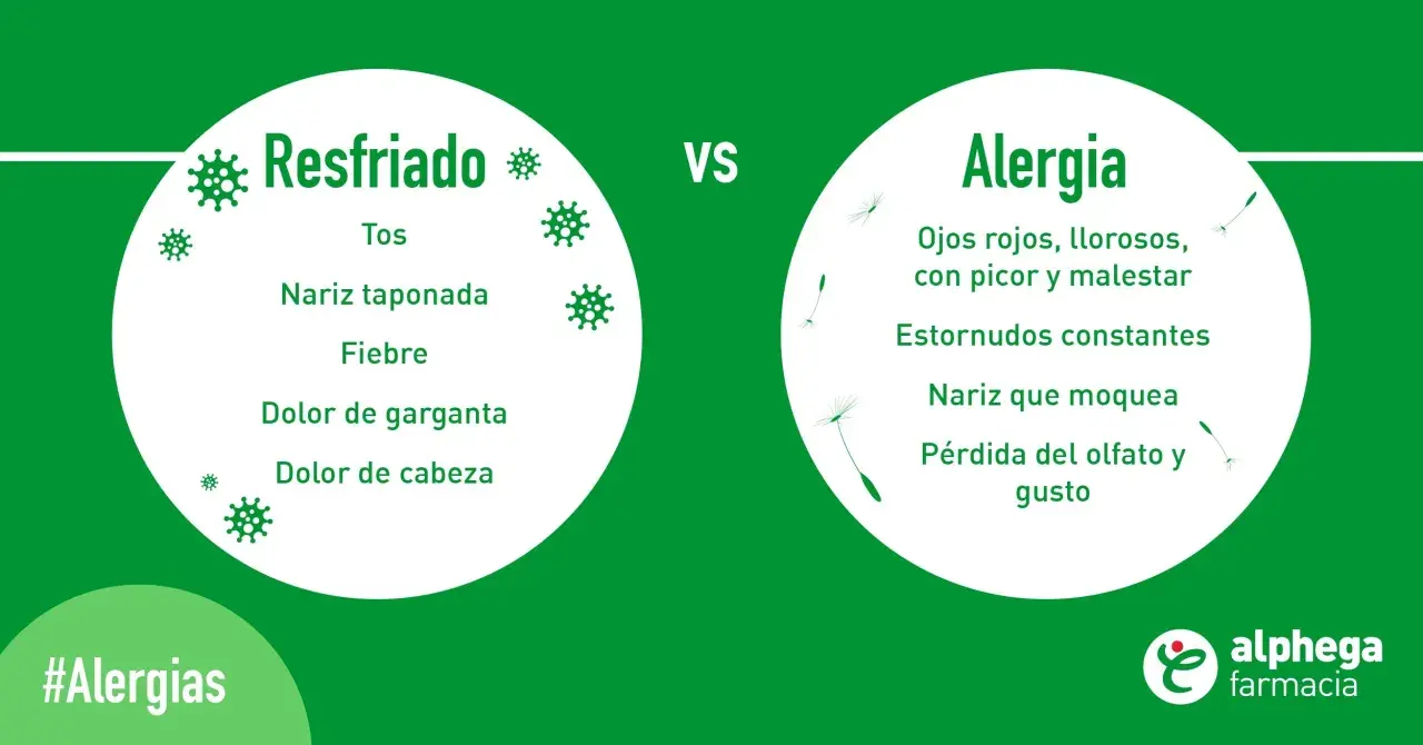 Compara síntomas de resfriado y alergia. La alergia puede causar ojos llorosos, estornudos y pérdida de olfato, síntomas comunes de la alergia al polen.
