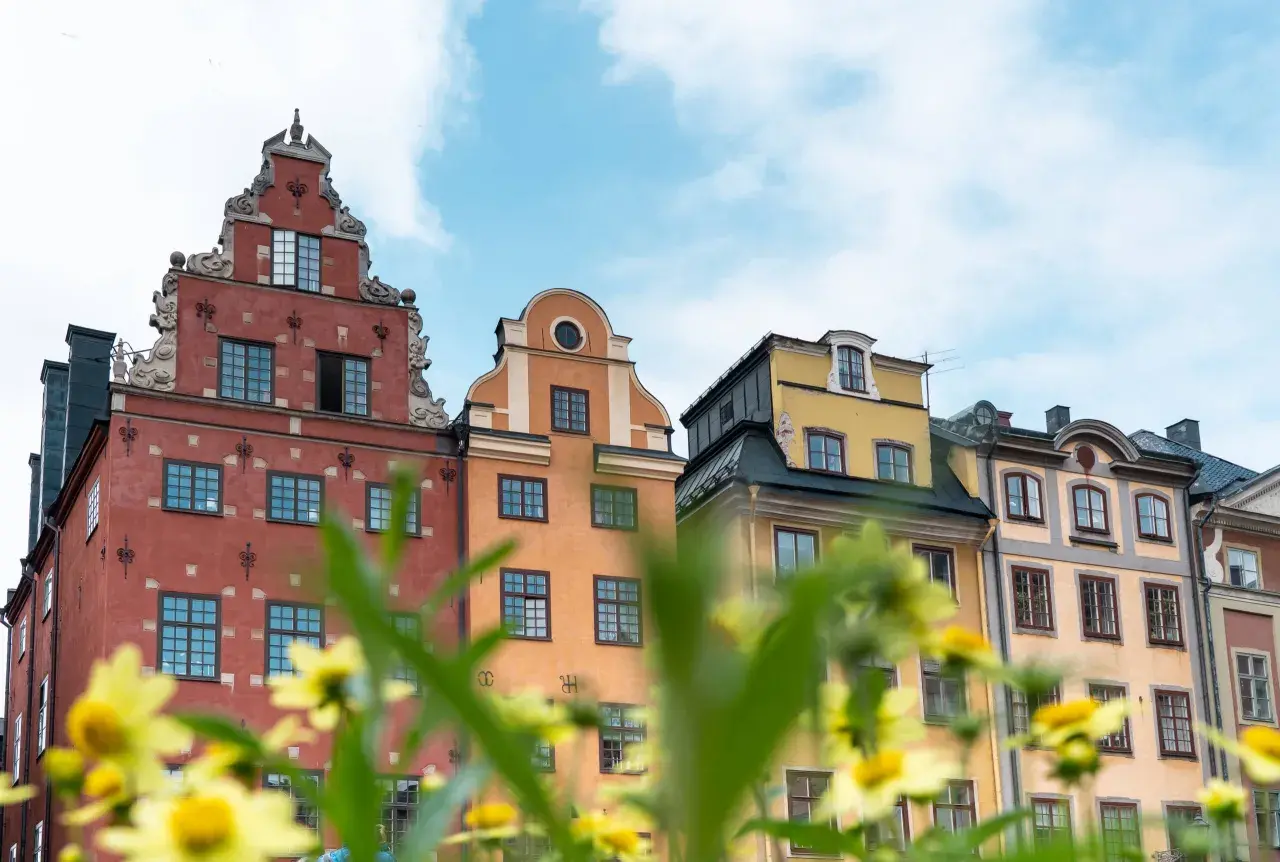 Bunte Häuserfassaden in Stockholm, ein malerischer Anblick, der zu den Stockholm Geheimtipps gehört. Gelbe Blumen blühen im Vordergrund.