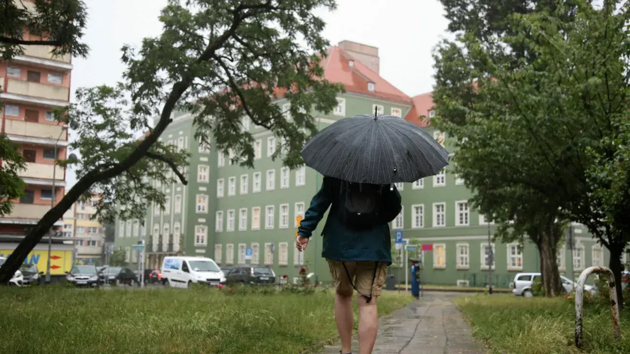 Osoba z parasolem idzie chodnikiem w deszczu. W tle zielony budynek i drzewa. Czyżby to był podatek od deszczu?