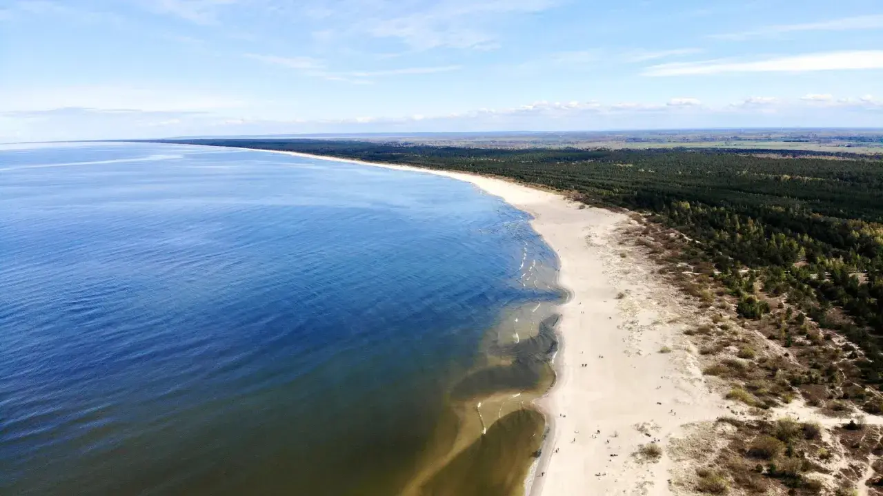 Szeroka, piaszczysta plaża Mikoszewo ciągnie się wzdłuż spokojnego morza, a za nią rozciąga się gęsty las.