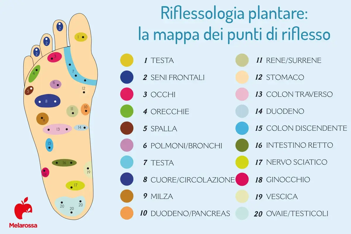 Mappa della riflessologia plantare: punti di riflesso per testa, occhi, stomaco, intestino e altre aree, utile per comprendere la plantologia del piede e le malattie correlate.
