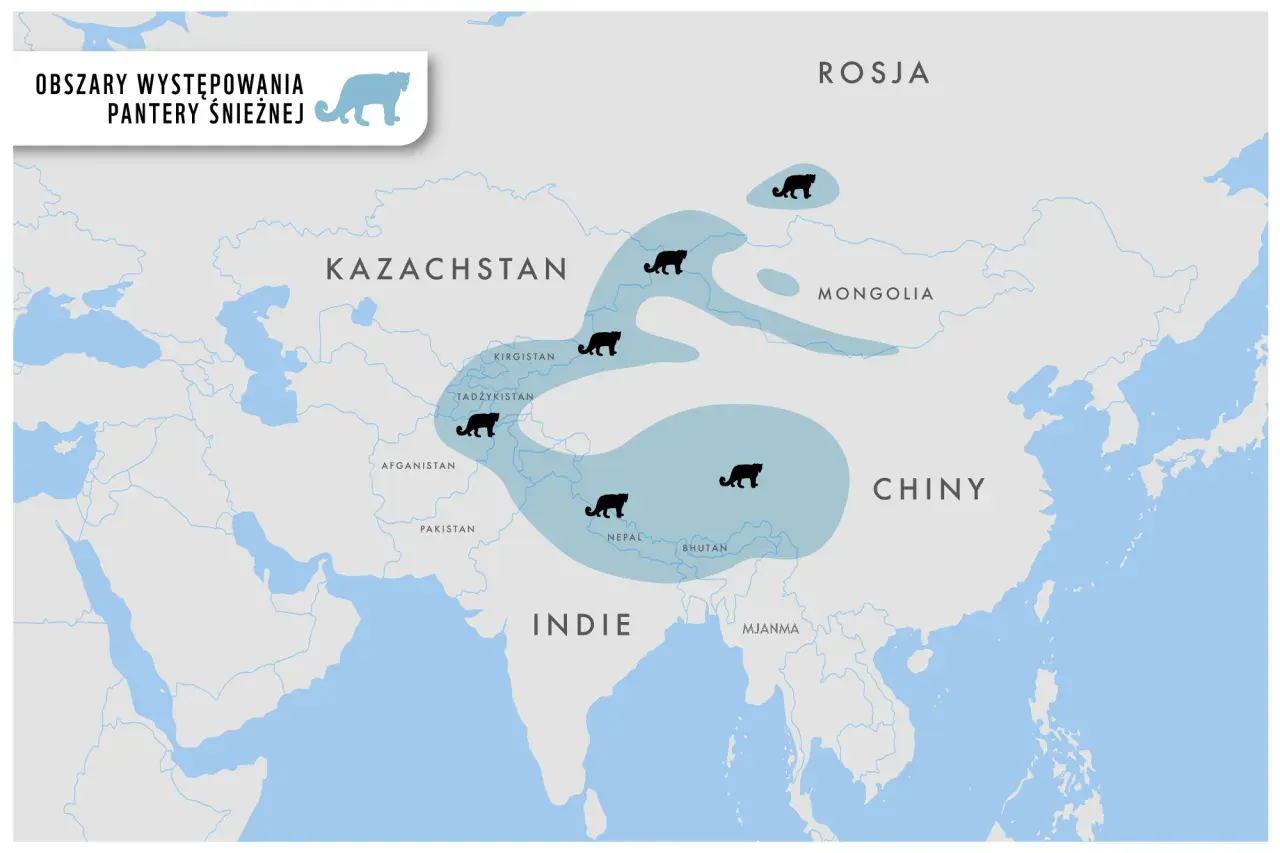 Mapa pokazuje zasięg występowania pantery śnieżnej w Azji. Zwierzęta te zamieszkują wysokie szczyty górskie od Rosji po Indie.